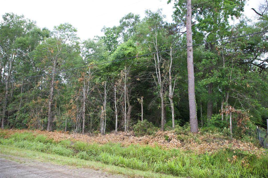 TBD Presley Lane - Photo 1