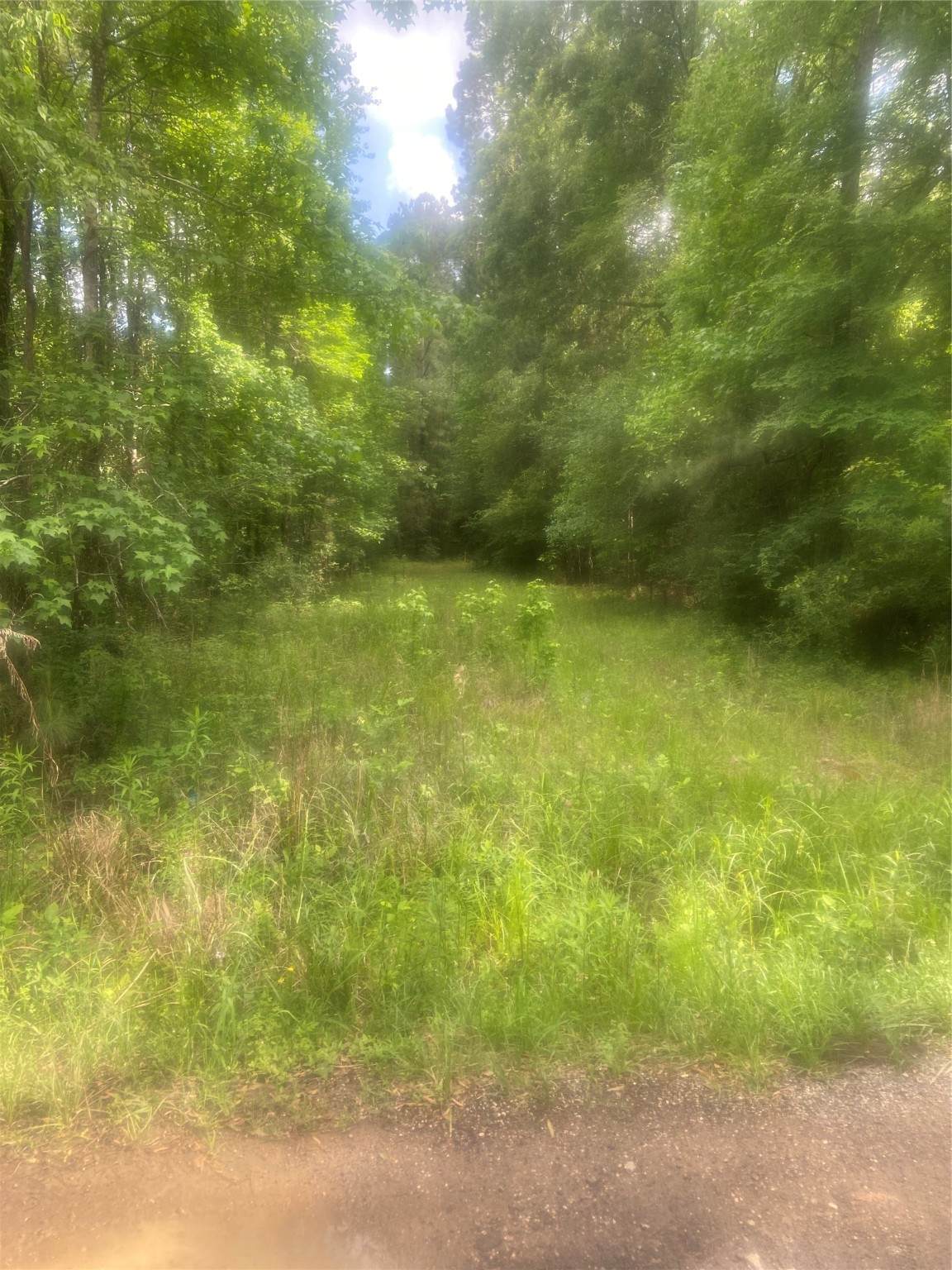 251 Pickens Loop - Photo 1