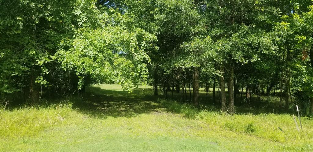 Lot 444 Center Drive - Photo 1