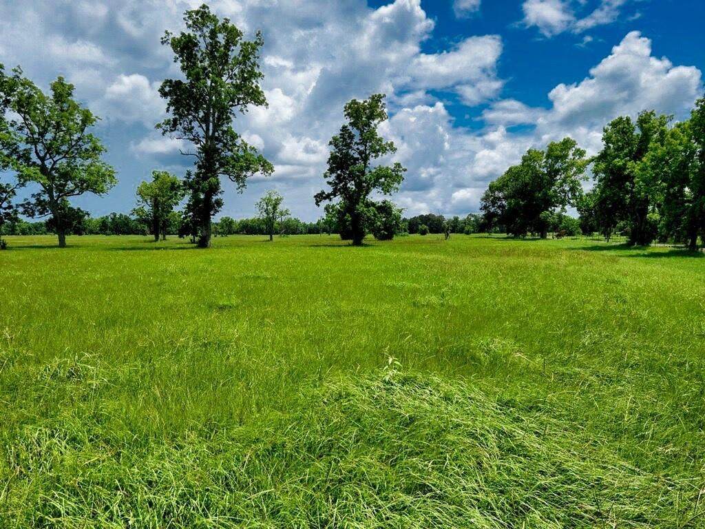 TBD Tract 12 County Road 2094 - Photo 1