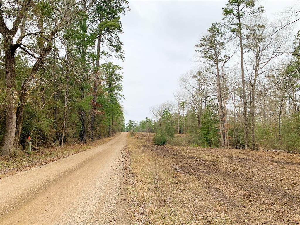 2500 Grimes Cemetery Road - Photo 1