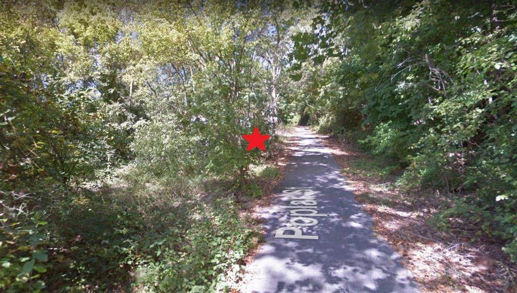 1239 Poplar Street - Photo 1
