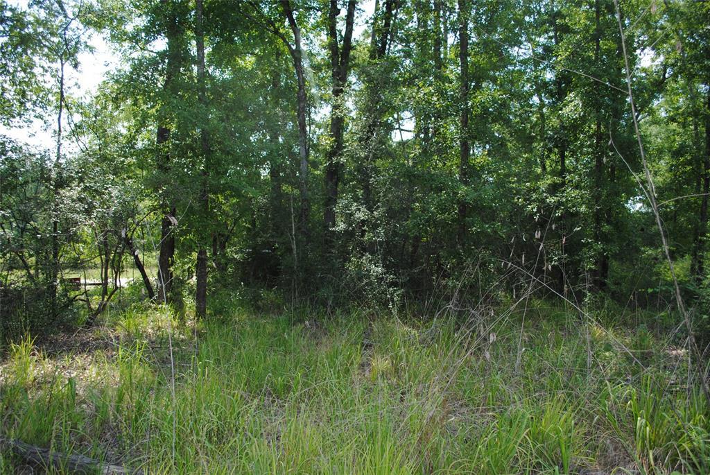 00 Ryan Ferry Road - Photo 1