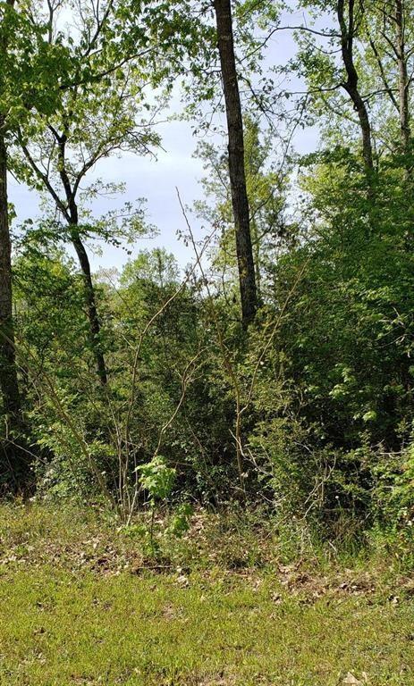 3-4 Kickapoo Trail - Photo 1