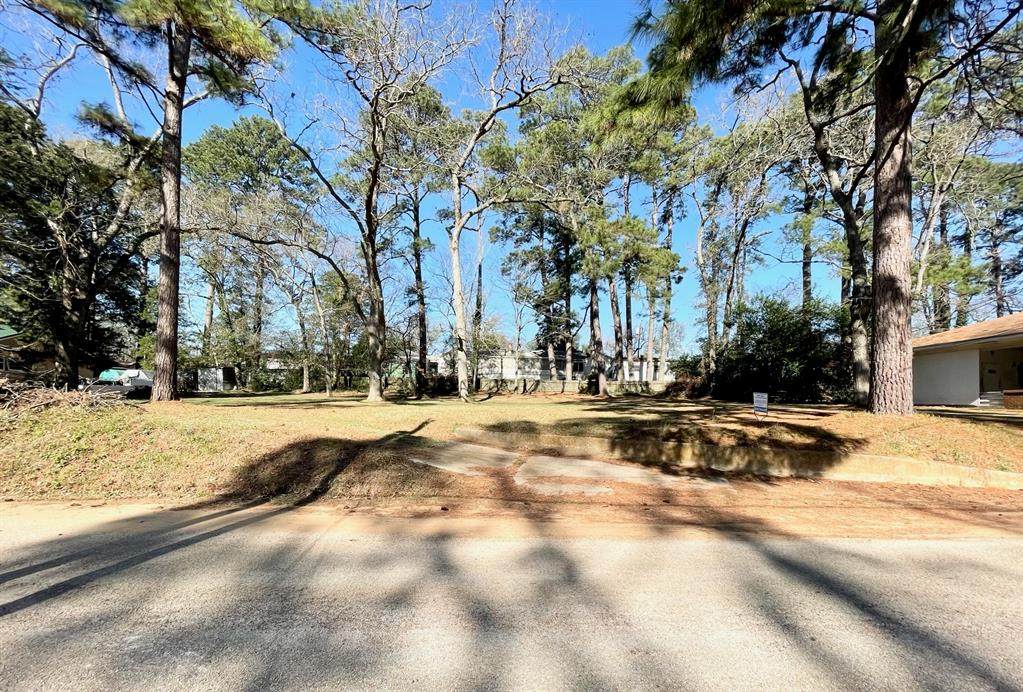 212 Homewood Drive - Photo 1