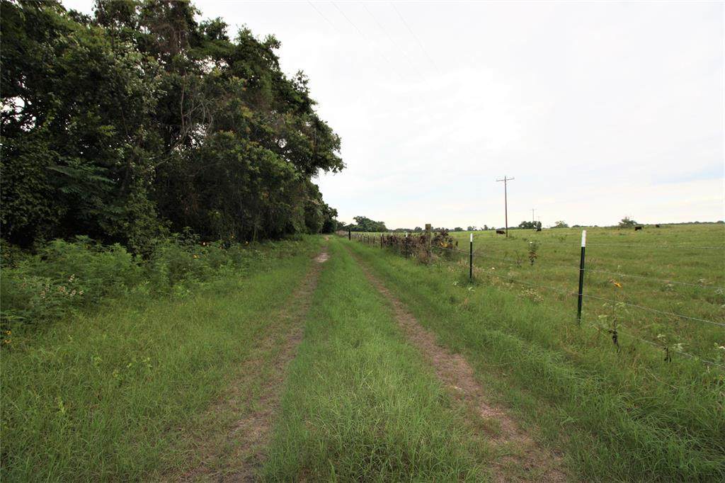 25+/- AC County Road 205 - Photo 1