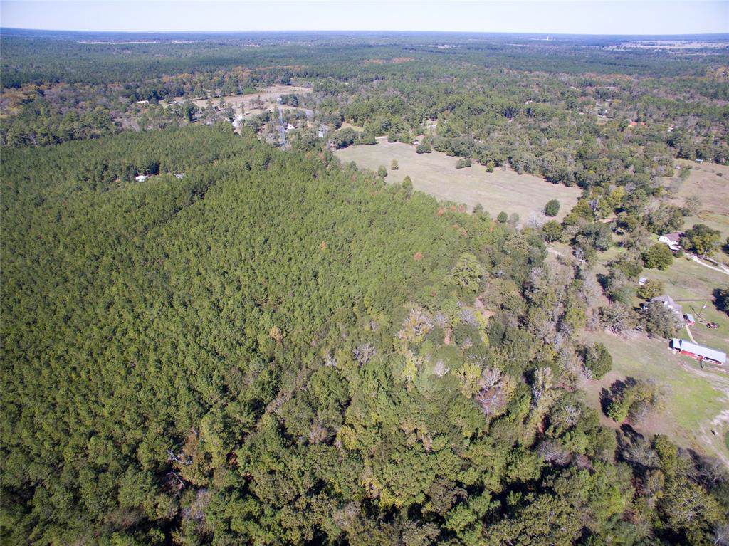48 Timberline Circle - Photo 1