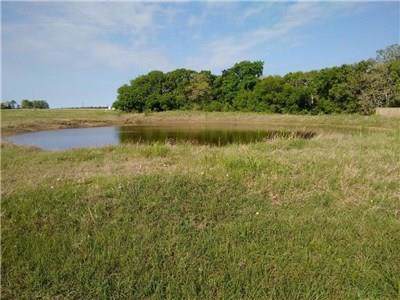 000 County Road 215 - Photo 1