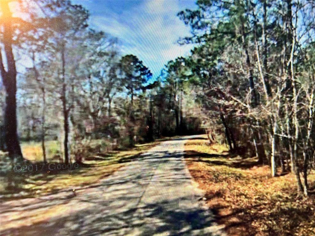 11482 Long Drive - Photo 1