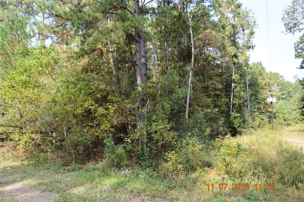 15 AC County Road 3377 - Photo 1