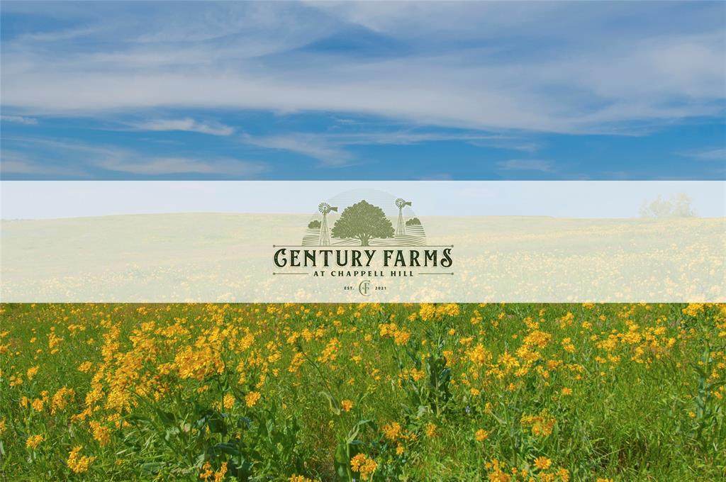 Lot 37 Century Farms - Photo 1