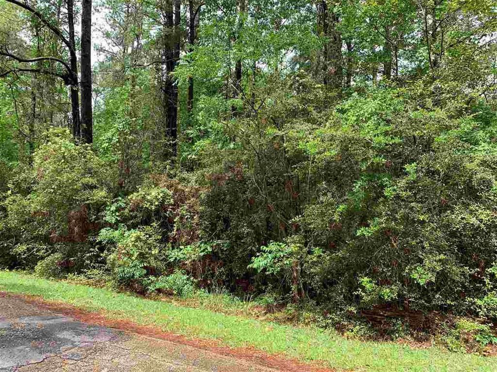 000 Dogwood Road - Photo 1