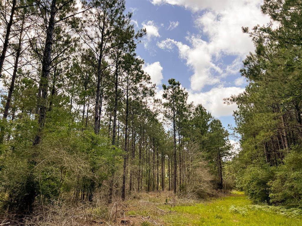000 Kelley Road - Photo 1