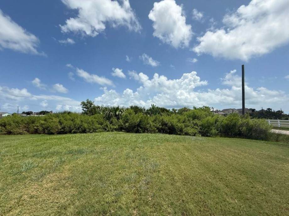 0 Schaper Road - Photo 1