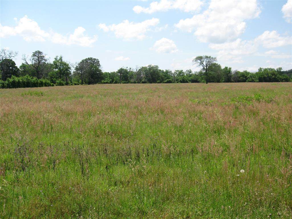 0001 Horace Smith Road - Photo 1