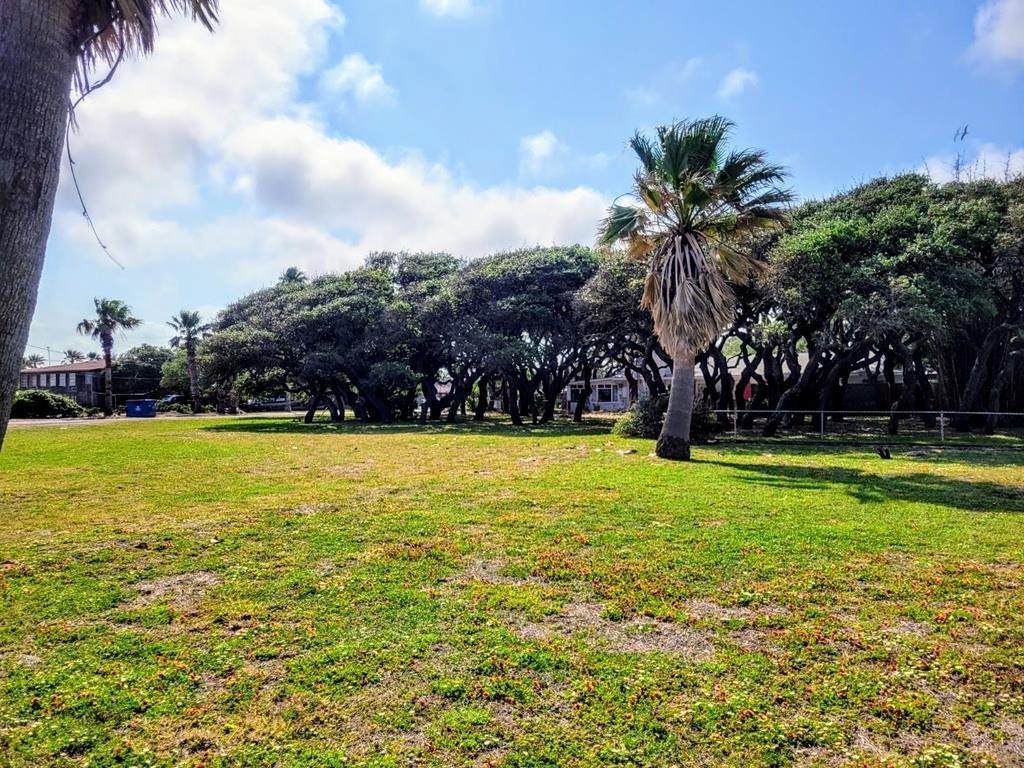 1129 Highway 35 - Photo 1