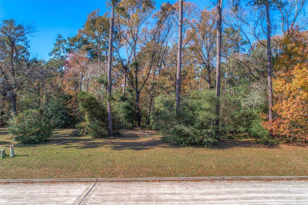 153 Pine Branch Dr - Photo 1