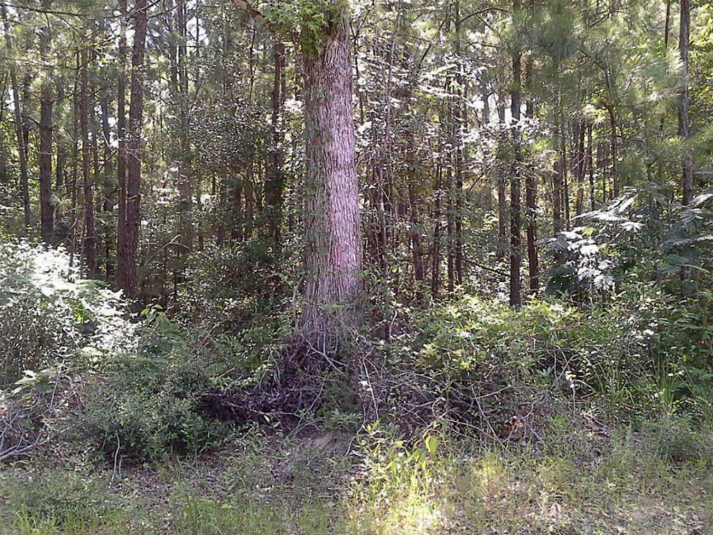 0 Cr 1096 - Photo 1