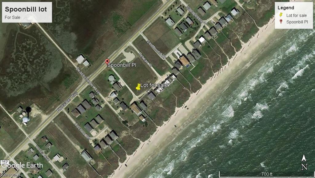000 Spoonbill Place - Photo 1