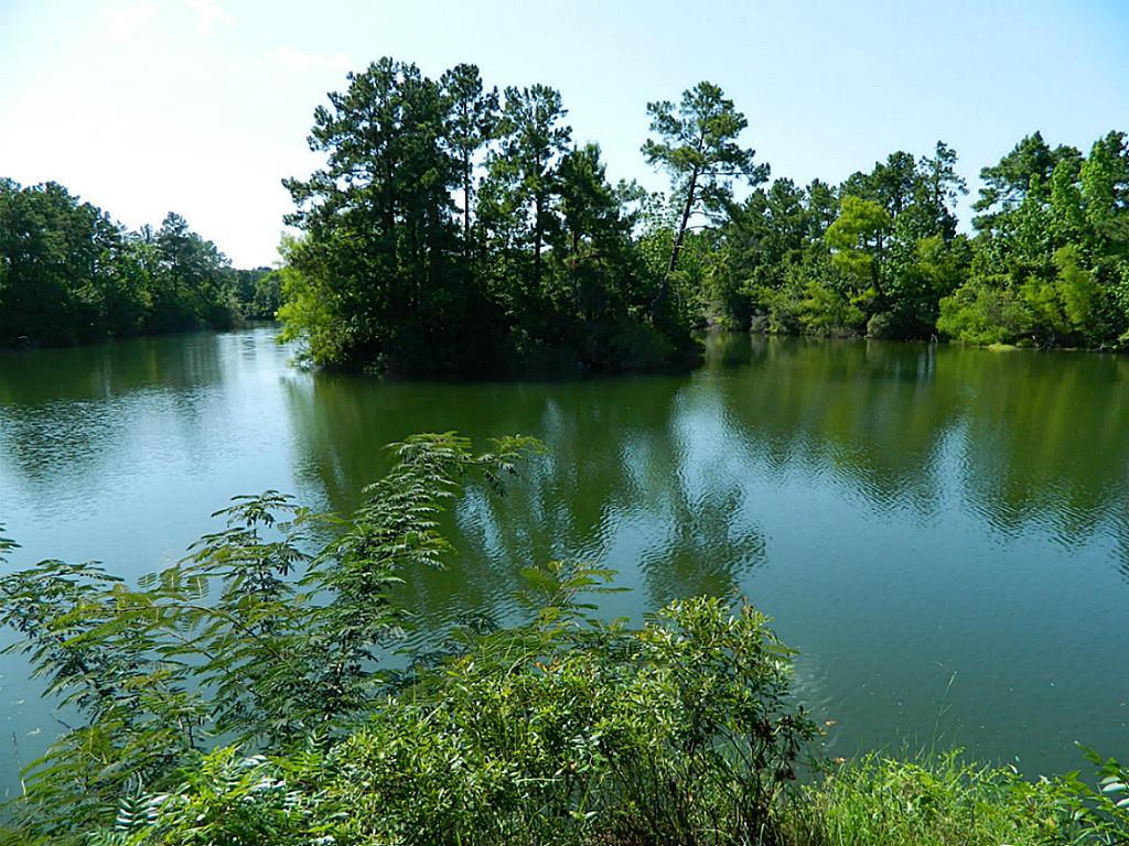 7 Smith Loop - Photo 1