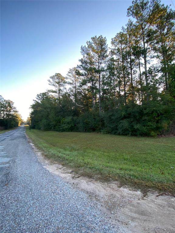 638 Forest Springs - Photo 1
