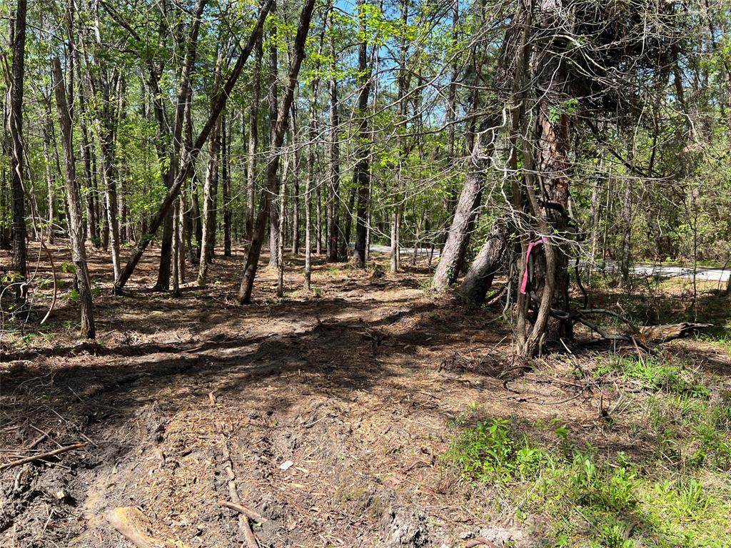 607 Deddar Drive - Photo 1
