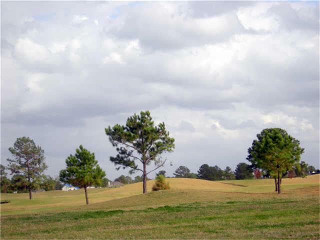 14510 Cypress Links Trail - Photo 1
