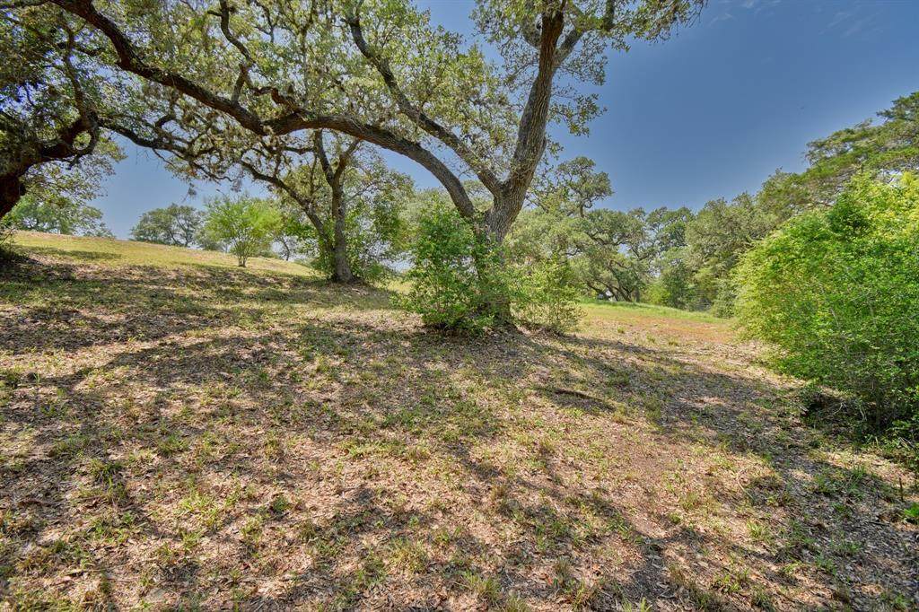 TBD Delores Avenue - Photo 1