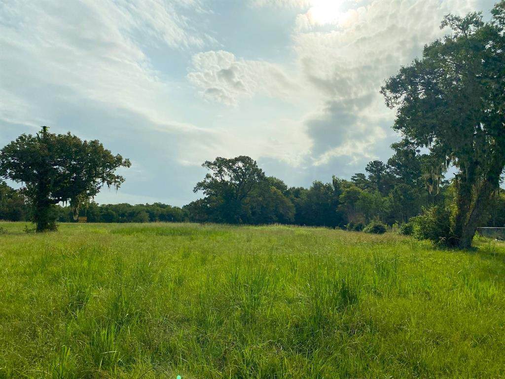 TBD County Road 2305 - Photo 1