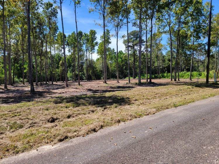 TBD Tract 4B County Road 2068 - Photo 1