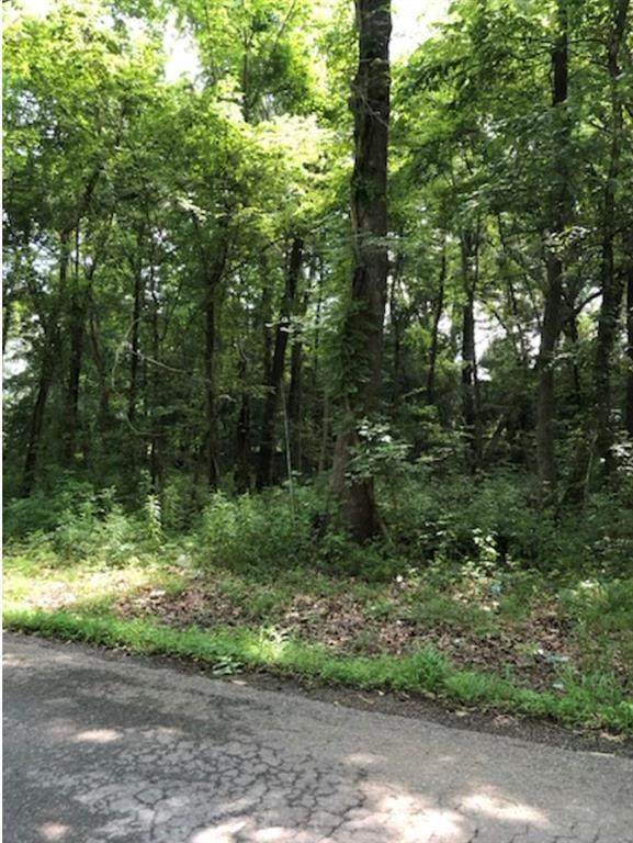 Lot 31 Tulip Lane - Photo 1