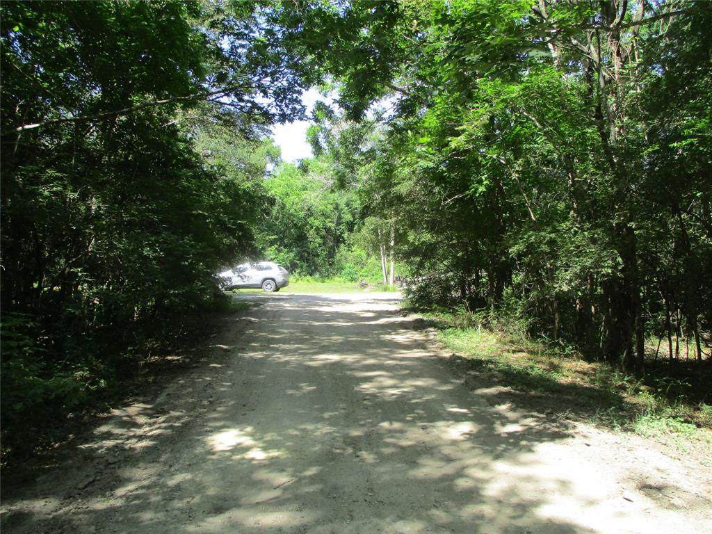 000 County Road 409 Off - Photo 1