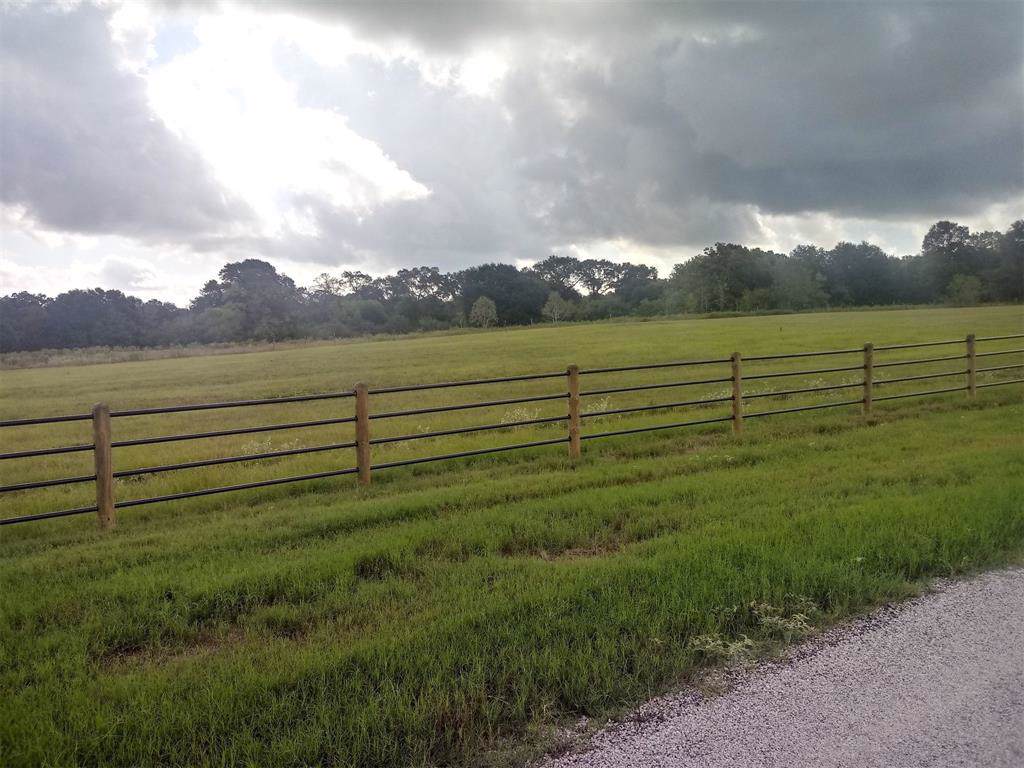 3486 Eli Road - Photo 1