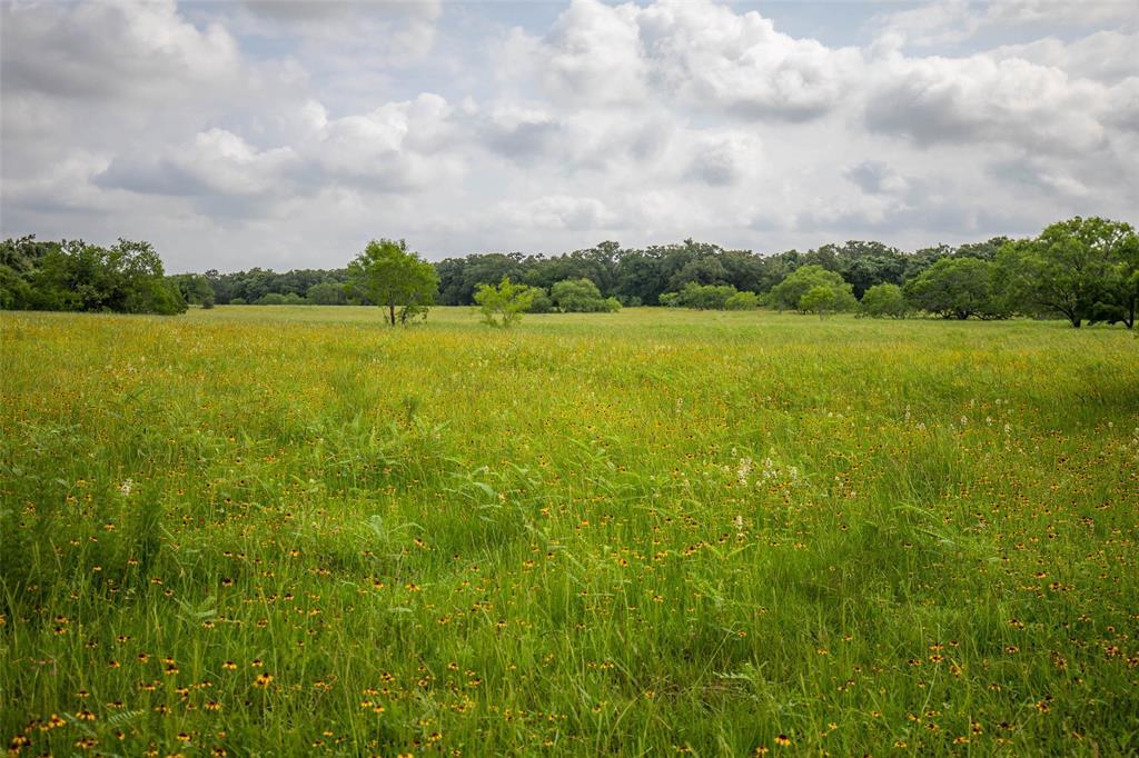 TBD Cr 437 - Photo 1