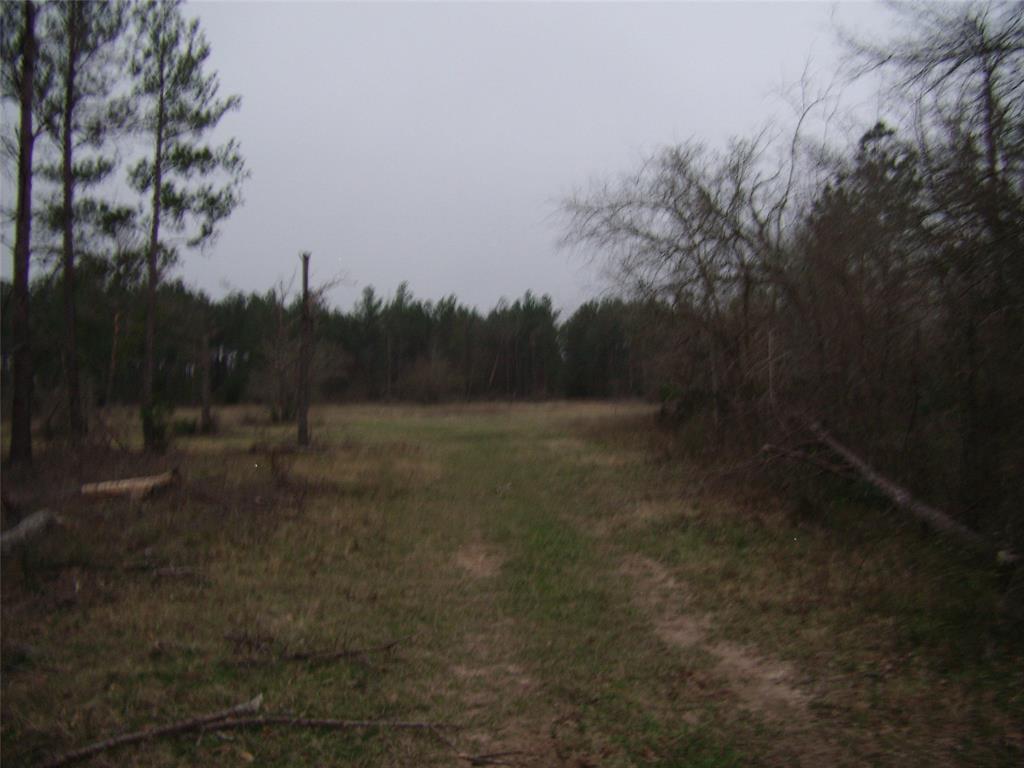 0000 County Road 210 - Photo 1