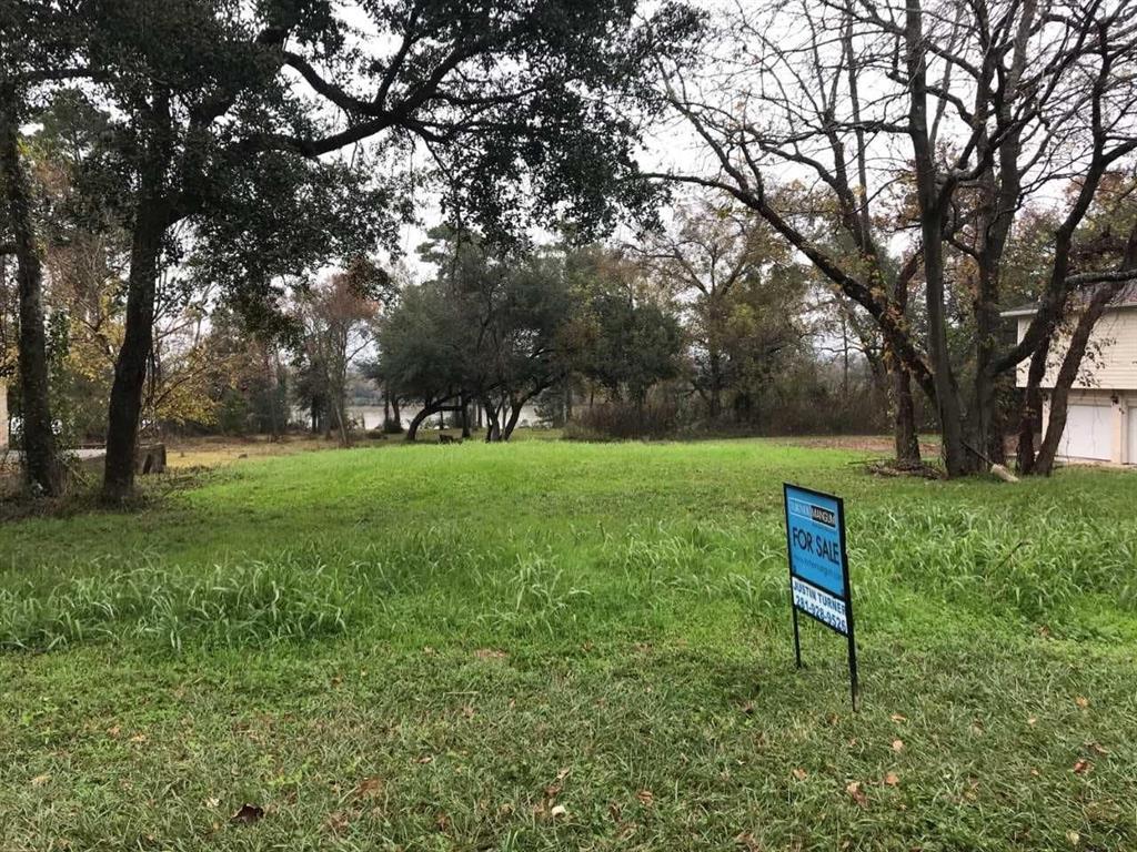 0 Houston - Photo 1