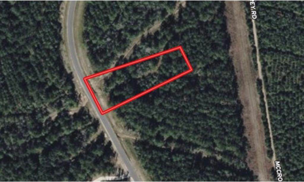 15392 Forest Grove Drive - Photo 1