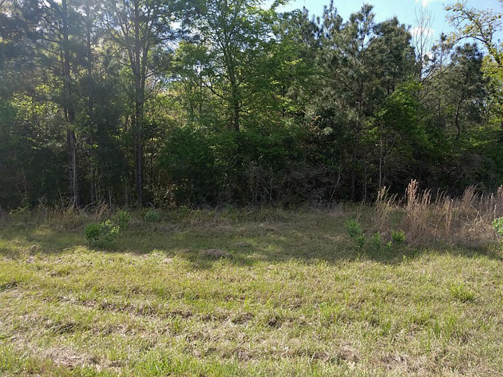 TBD Rogers Road - Photo 1