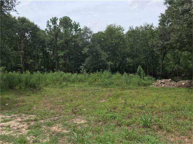 26155 Hardin Store Road - Photo 1