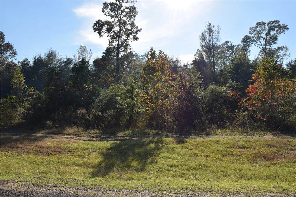 (Lot 1) Pine Drive - Photo 1