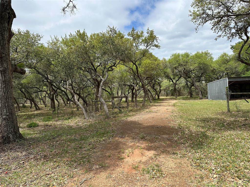 1203 Highway 90A - Photo 1