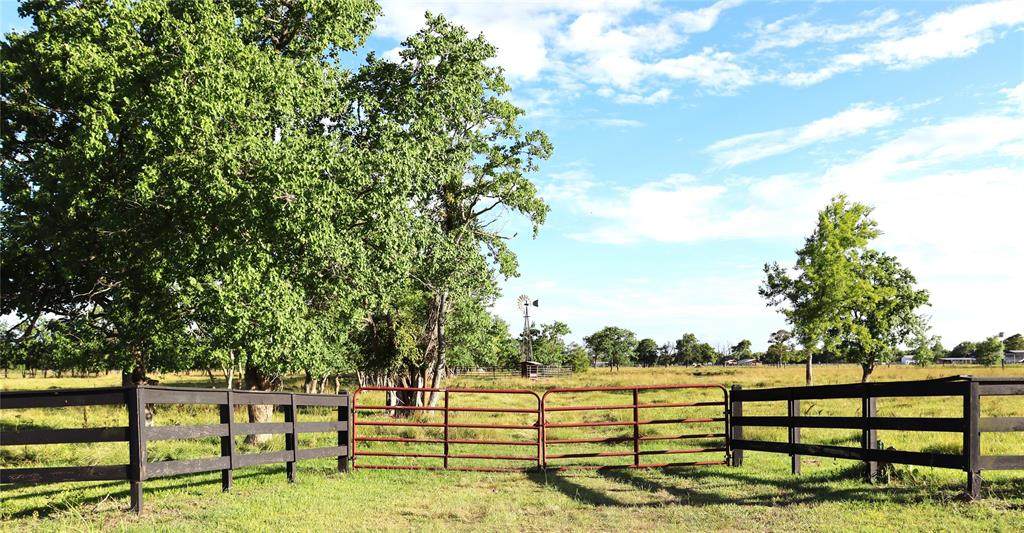 3127 County Road 605 - Photo 1