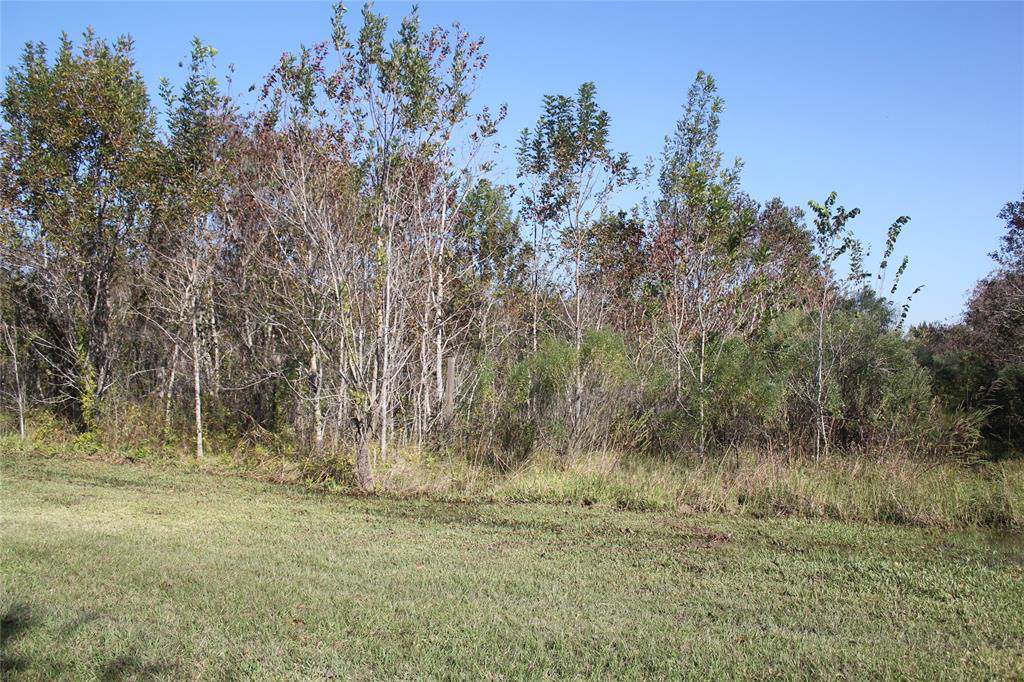 0 Lee Rd Cr 664 Road - Photo 1