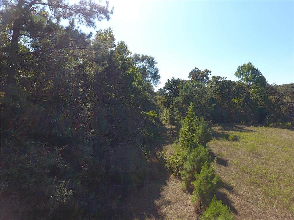 5771 Fm 149 - Photo 1