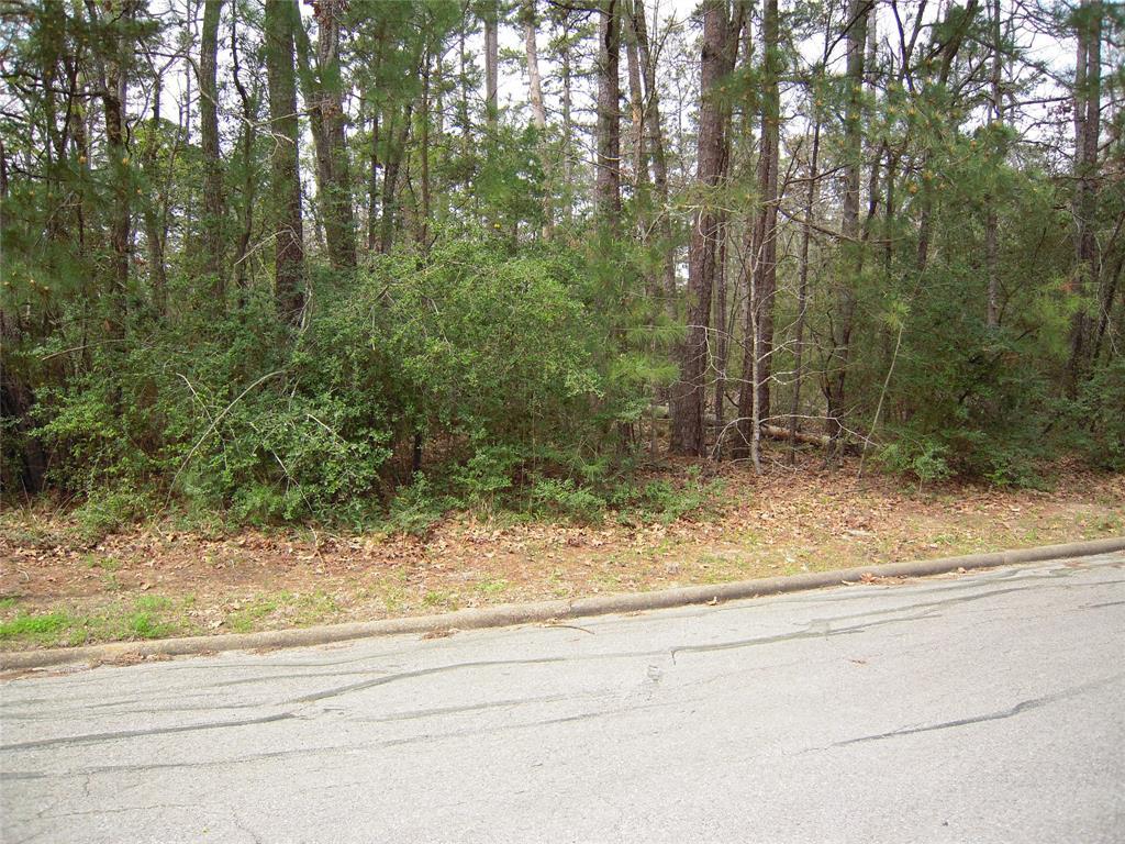 26709 Oak Drive - Photo 1