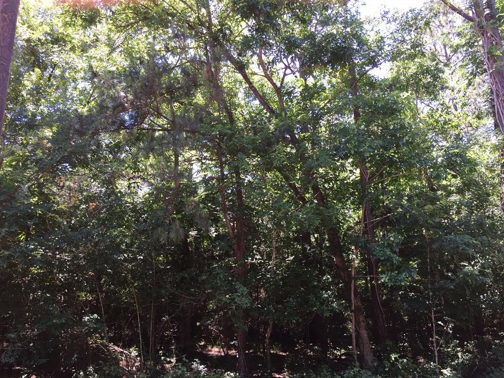 00 County Road 778 - Photo 1