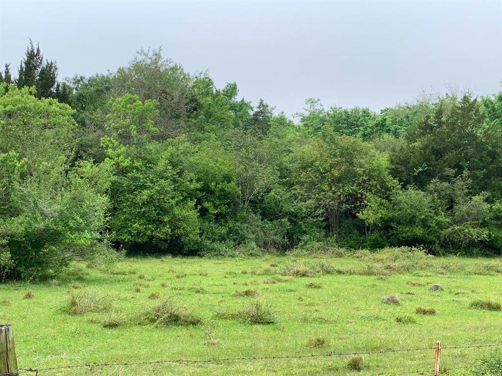 Lot 14 County Road 326 - Photo 1 Lot 14 County Road 326 - Photo 1