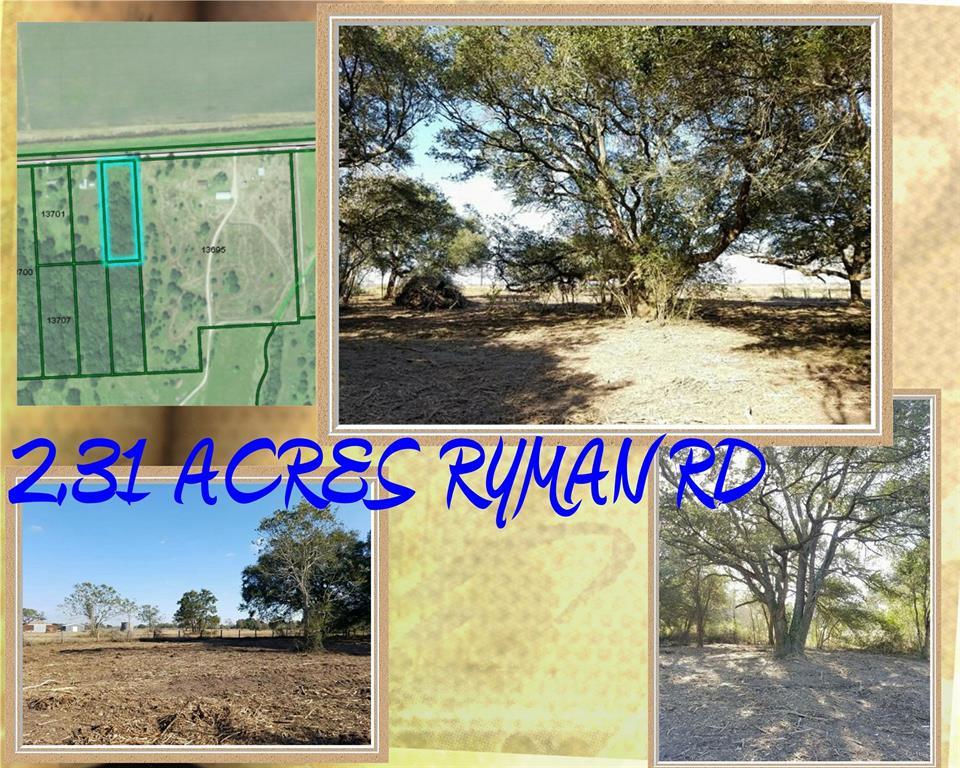 0 County Road 232 Ryman Road - Photo 1