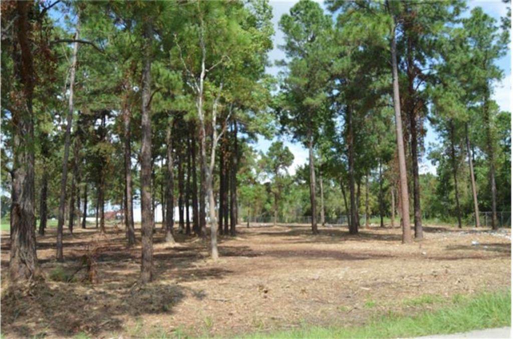 00 Saddlespur Lane - Photo 1
