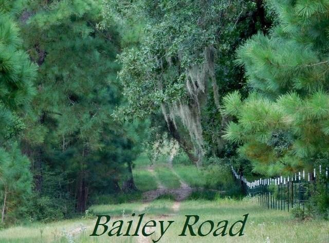 0 Bailey Road Road - Photo 1